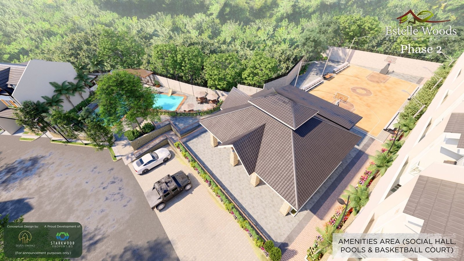 Social hall aerial · developer artist perspective